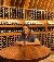 Cha, 41, Fatehpur