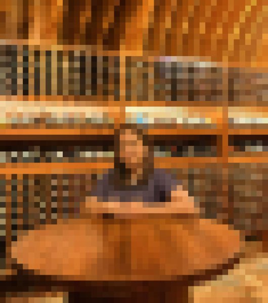 Cha, 41, Udaipur