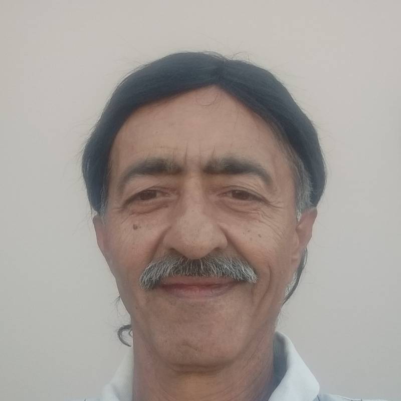 Anil, 69, Tradate