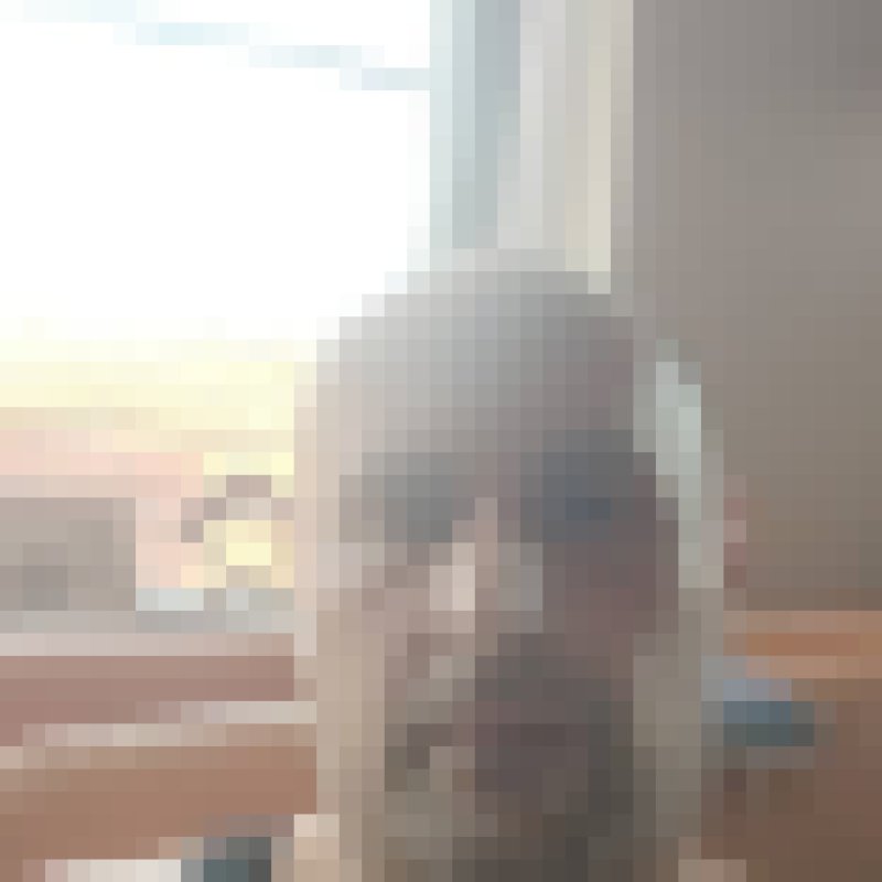 Nenad, 42, Ymitts