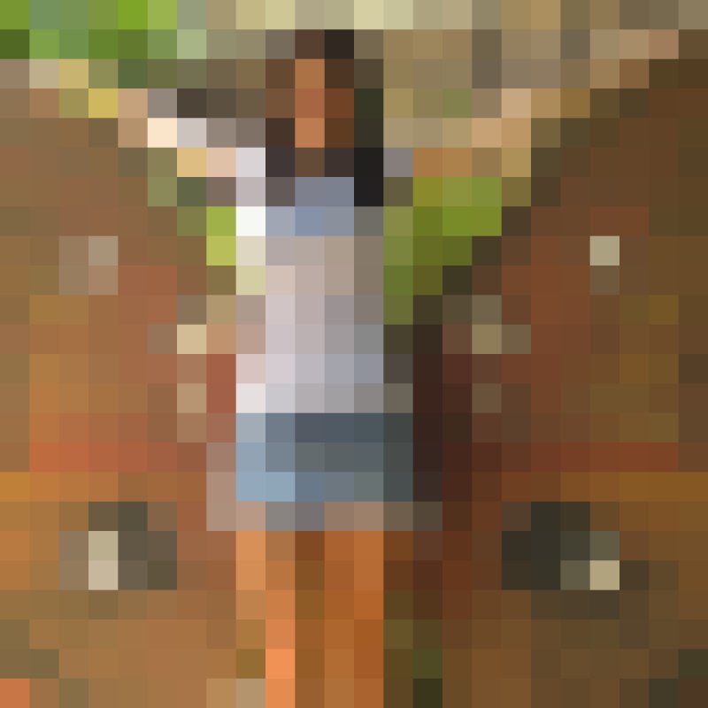 Amia, 37, An Sefra