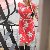 Avyanna, 35, Take