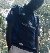 Wayne, 21, Antseza