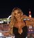 Sophia love, 33, Kelandis