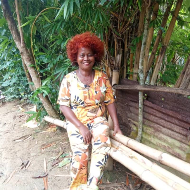 Lily, 59, Sainttienne