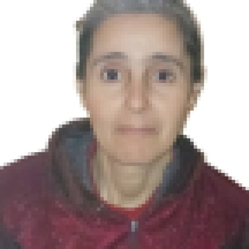 fatiha daoudi, 47, Cachoeira De Minas
