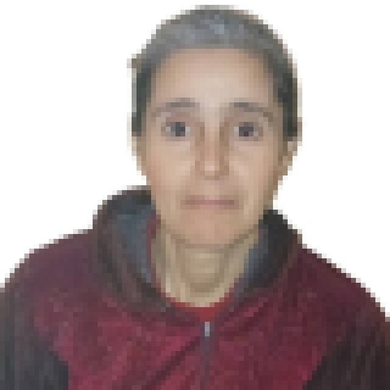 fatiha daoudi, 47, La Vega