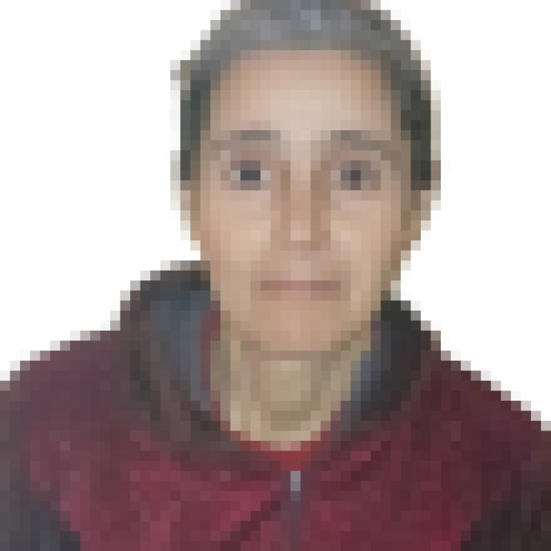 fatiha daoudi, 47, Senegal