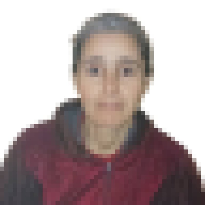 fatiha daoudi, 47, Offa