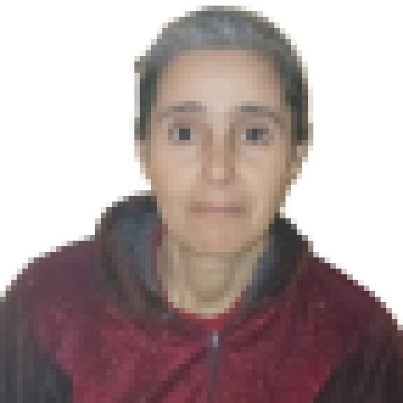 fatiha daoudi, 47, Mooresville