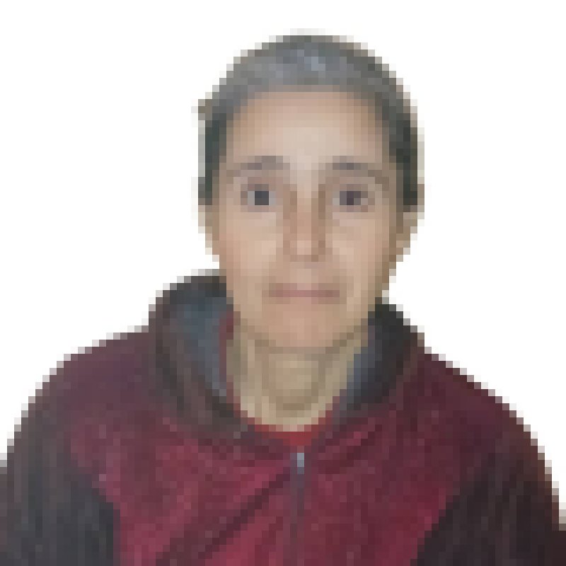 fatiha daoudi, 47, Suwayd