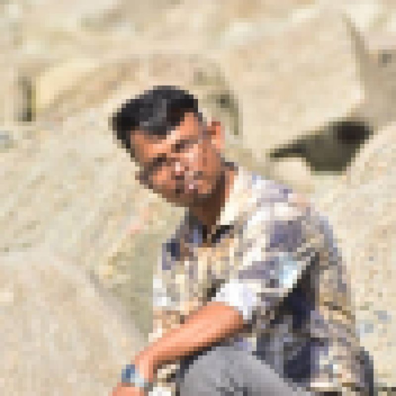 Shamim, 38, South Houston