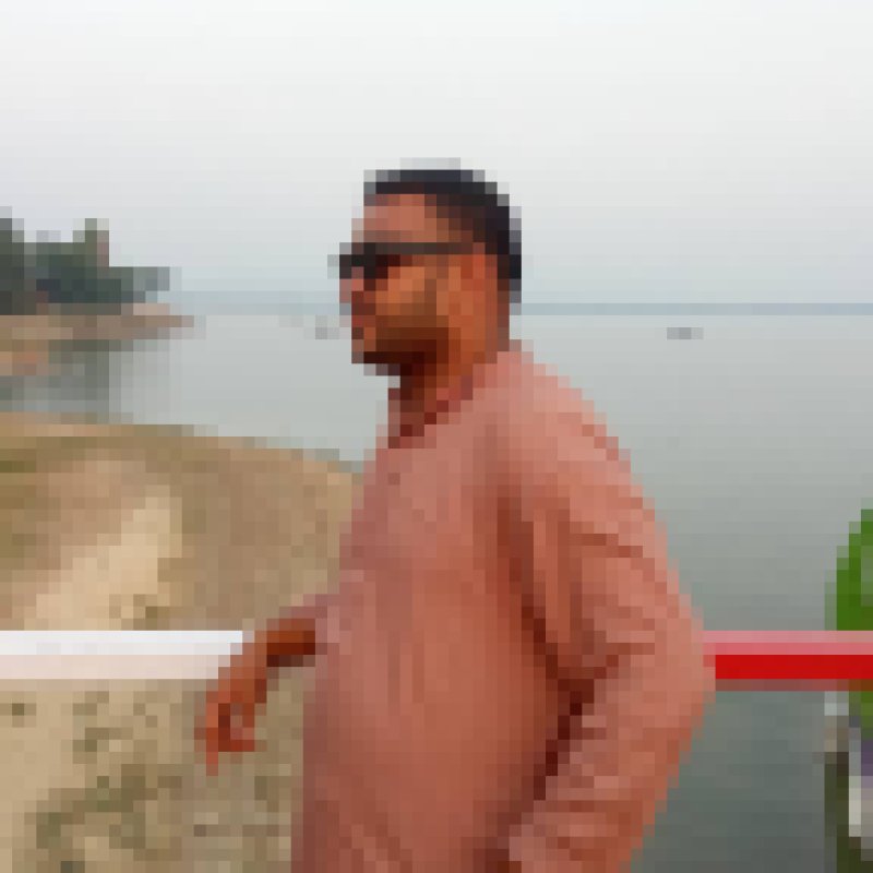 Mdparvez, 25, Christchurch