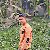Md Monir, 25, Sambava