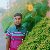 Arif khan, 25, Natal