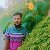 Arif khan, 25, Melksham