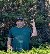 DwayneGazz, 53, Australia