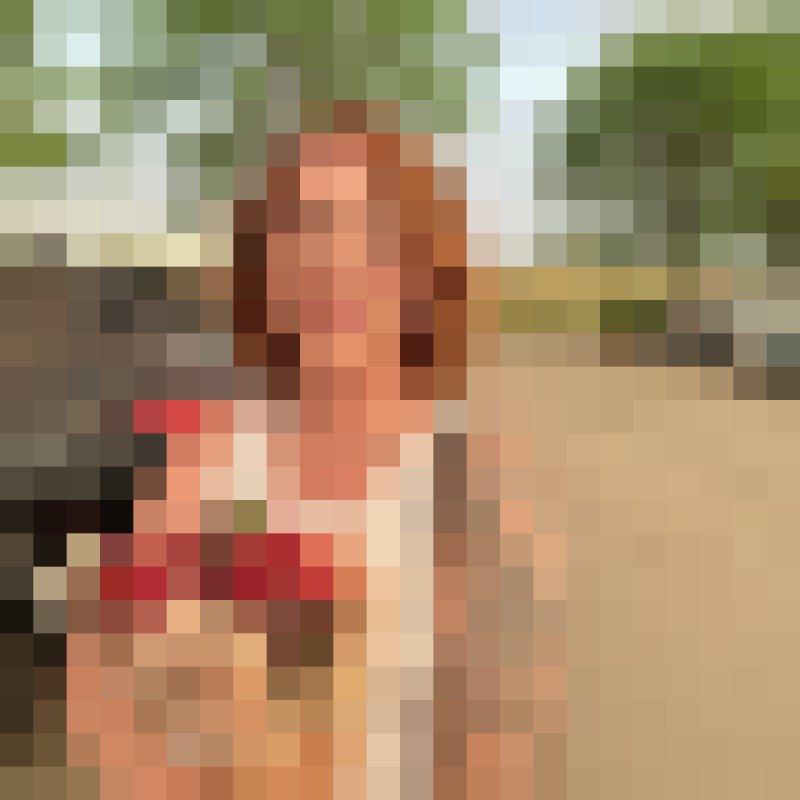 Dian Rodriguez, 40, Georgia