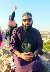 Usman haider, 28, Paloncha