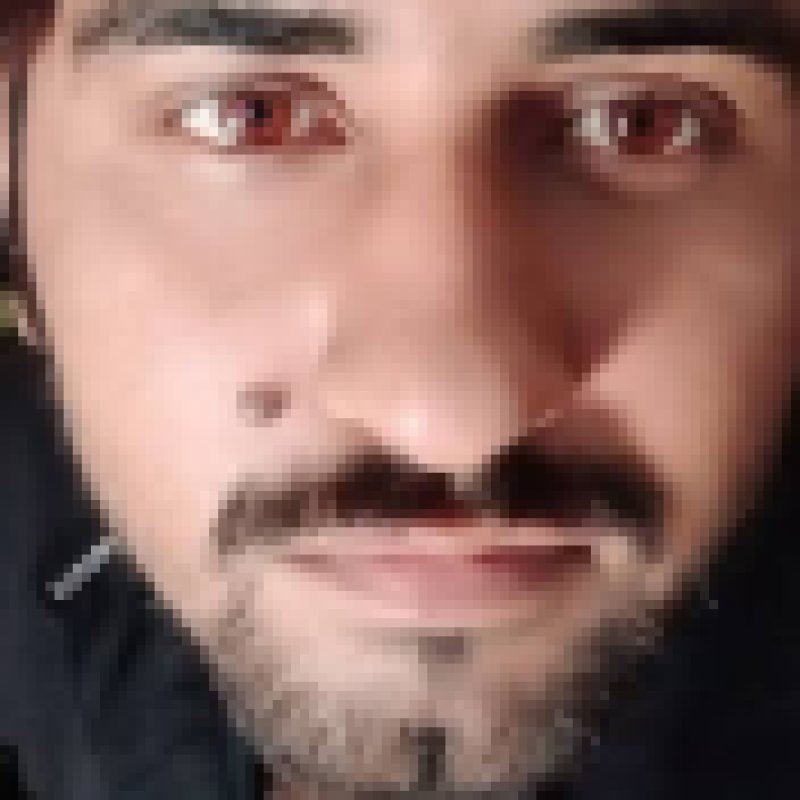 Asim jan, 31, Merrillville