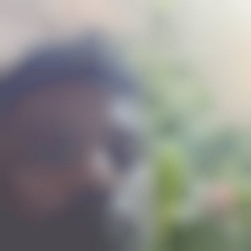 Rassel, 29, Segovia