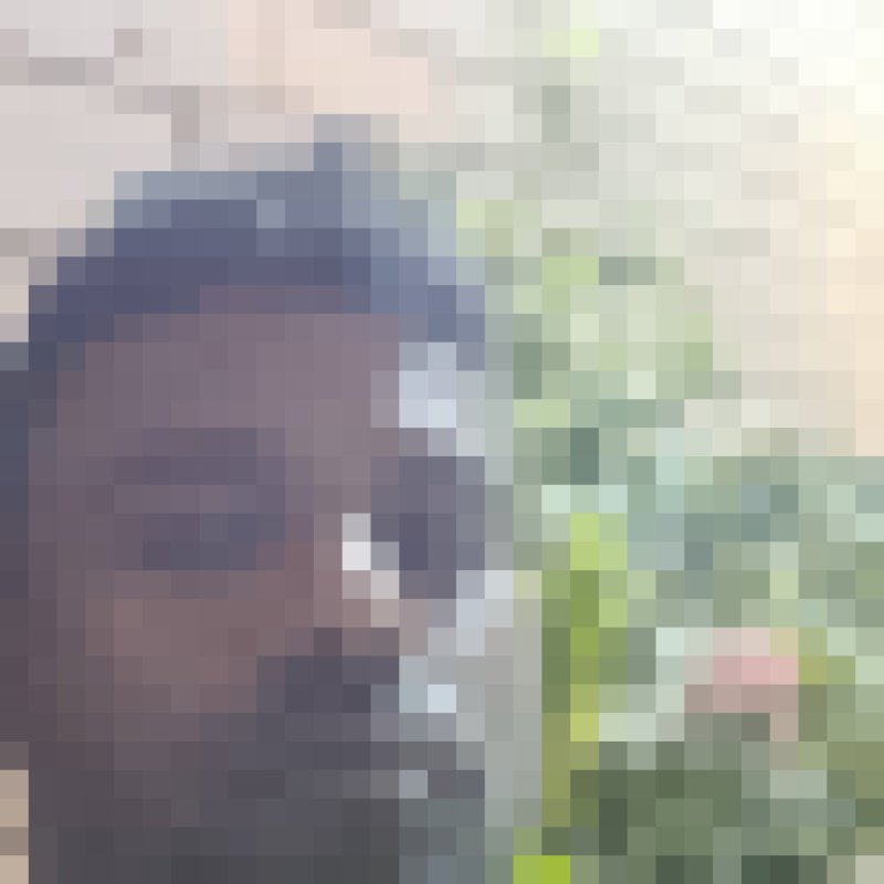 Rassel, 29, Mobile