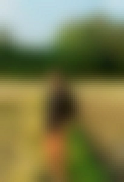 Mamun, 27, Afonso Cludio