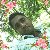 Sahidul Islam, 35, Kabankalan