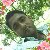 Sahidul Islam, 35, Nanuque