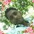 Sahidul Islam, 35, Rayong