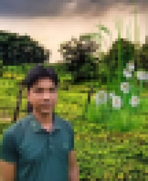 Juwel, 35, Aparecida