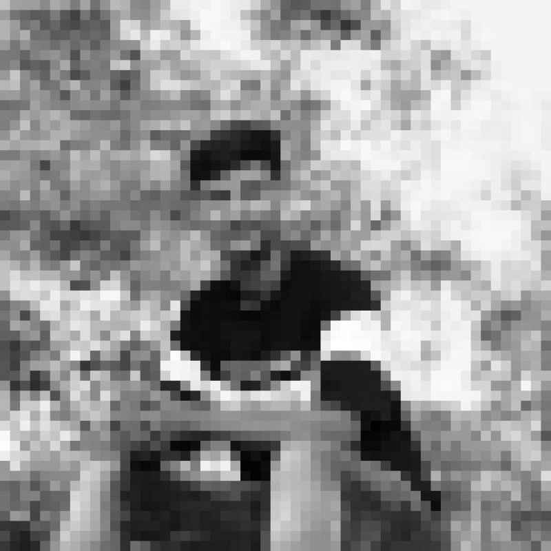 Tuhin hasan, 24, Westport
