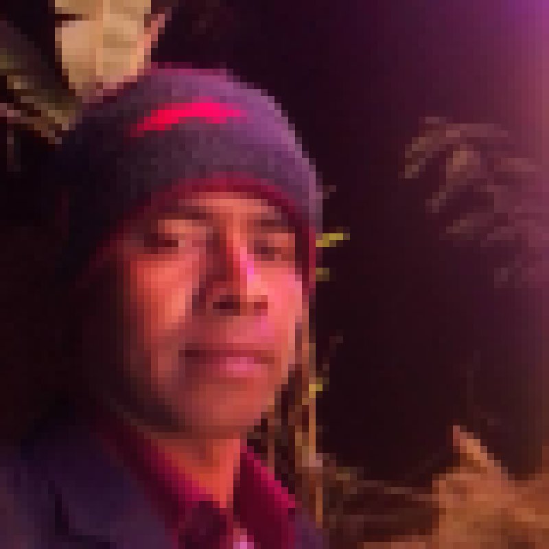 Sun, 31, Koko