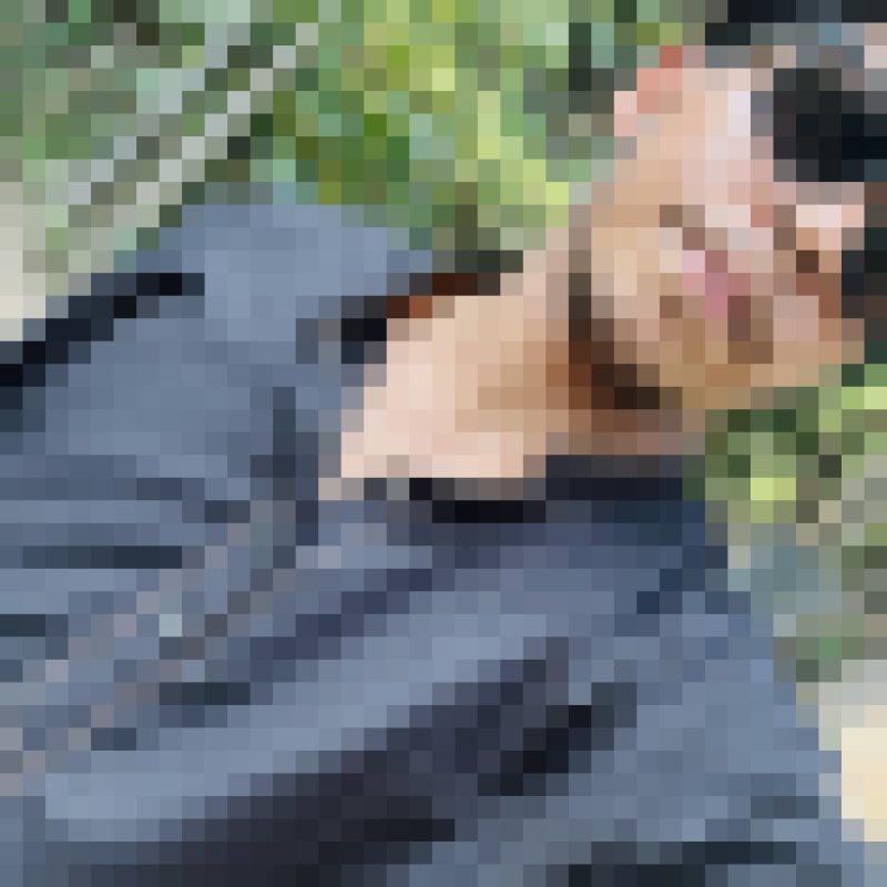 ABIR, 18, Guarda