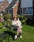 Holz, 51, Beni