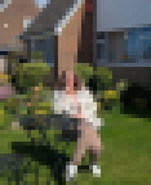 Holz, 51, Perlis