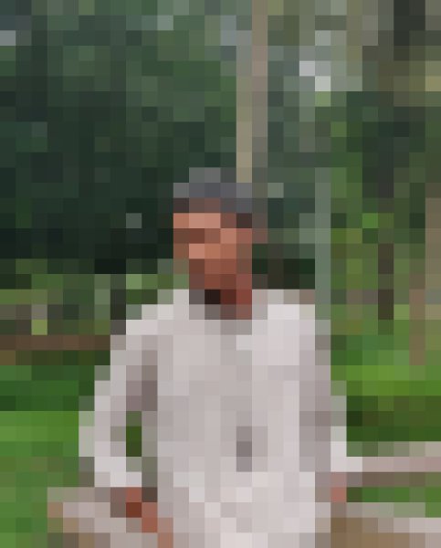 Sajeed, 24, Wellington