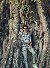 Riyad, 22, 26 illburn b9 z110