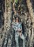 Riyad, 22, India