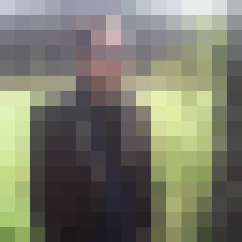 Parvez, 35, Qung Tr