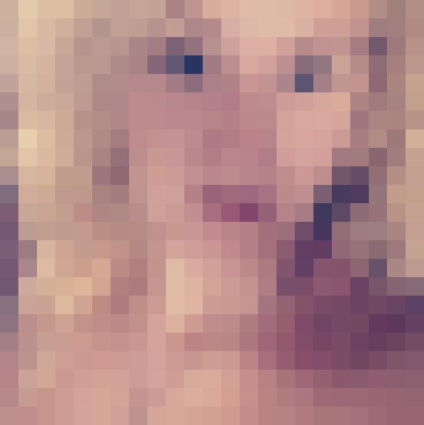 Holz, 47, Kearns