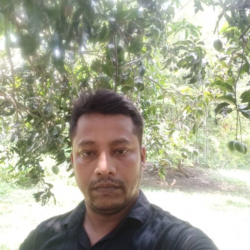 MD nazrul, 39, Stanford