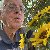 Peter, 67, Lomme