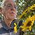 Peter, 67, Espa