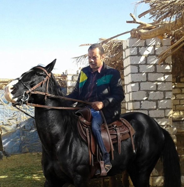 Mohamed38498 dating